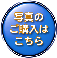 写真のご購入はこちら